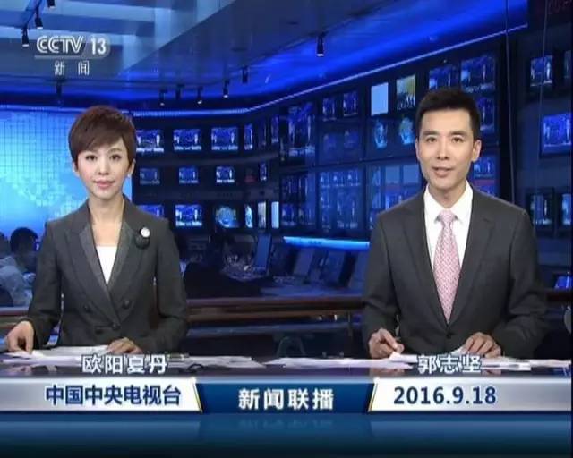 财经新闻网重塑投资者信息获取方式，行业格局悄然生变